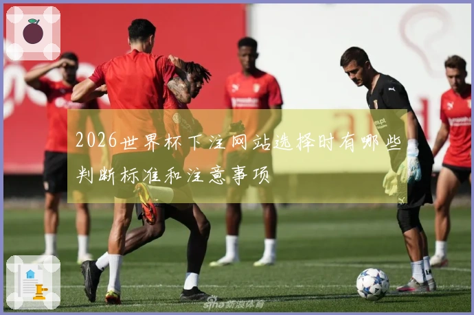2026世界杯下注网站选择时有哪些判断标准和注意事项