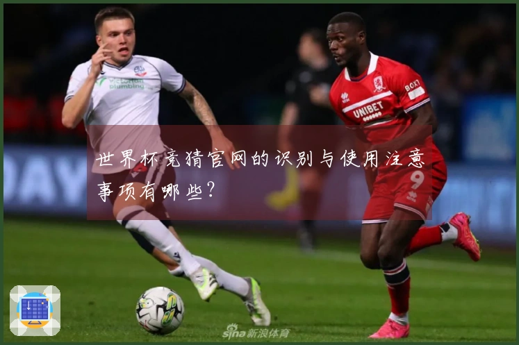 世界杯竞猜官网的识别与使用注意事项有哪些？