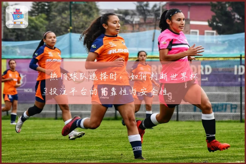 热门球队选择时，如何判断世界杯投注平台的可靠性与安全性