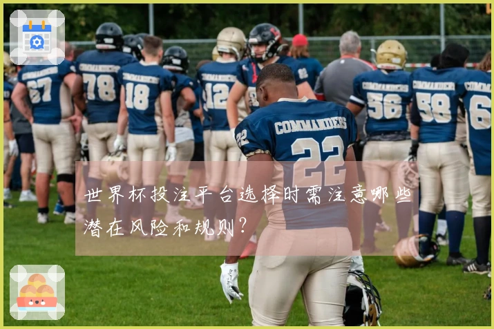 世界杯投注平台选择时需注意哪些潜在风险和规则？