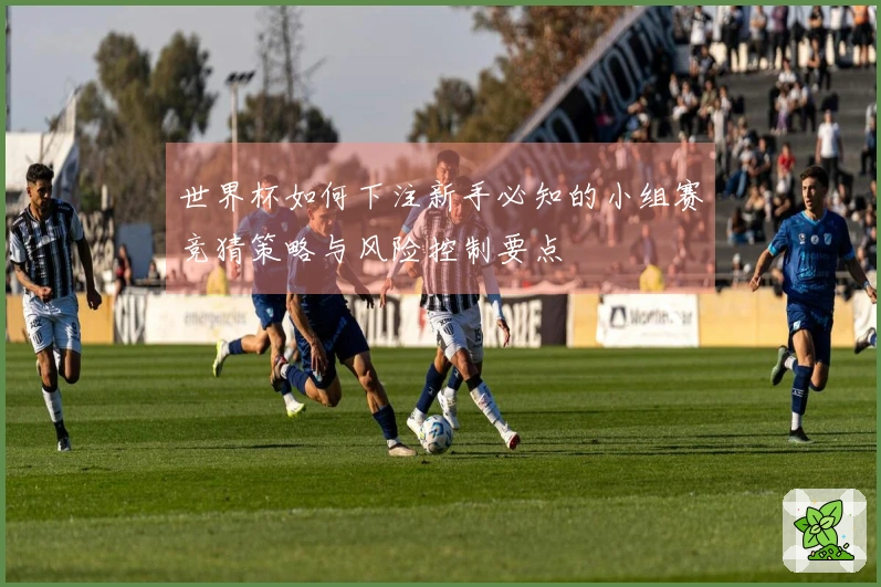 世界杯如何下注新手必知的小组赛竞猜策略与风险控制要点