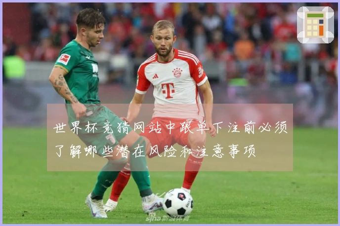 世界杯竞猜网站中跟单下注前必须了解哪些潜在风险和注意事项