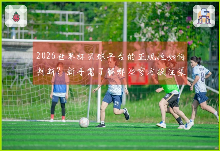 2026世界杯买球平台的正规性如何判断？新手需了解哪些官方投注渠道？