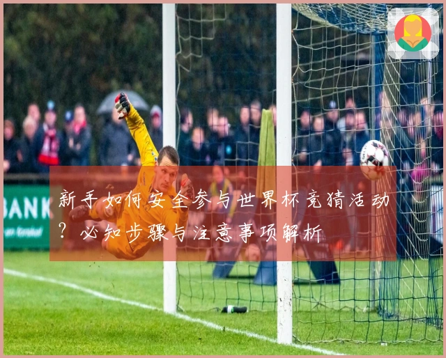 新手如何安全参与世界杯竞猜活动？必知步骤与注意事项解析