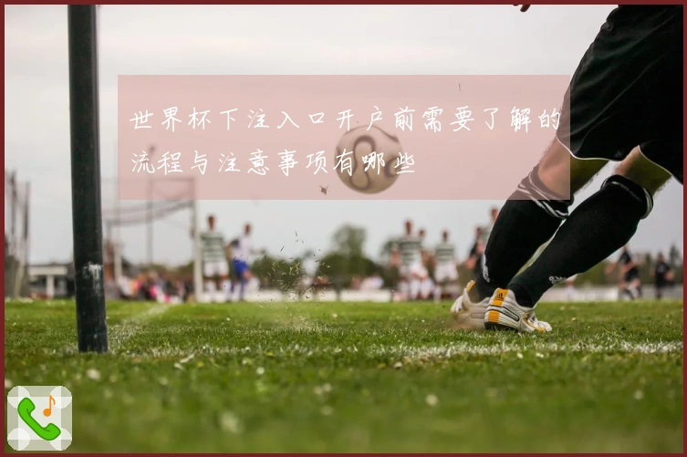 世界杯下注入口开户前需要了解的流程与注意事项有哪些