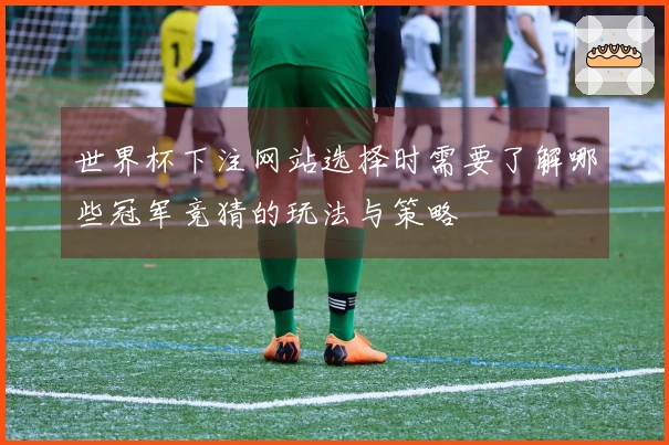 世界杯下注网站选择时需要了解哪些冠军竞猜的玩法与策略