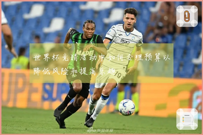 世界杯竞猜活动中如何合理预算以降低风险和提高乐趣