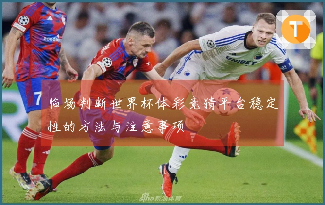 临场判断世界杯体彩竞猜平台稳定性的方法与注意事项