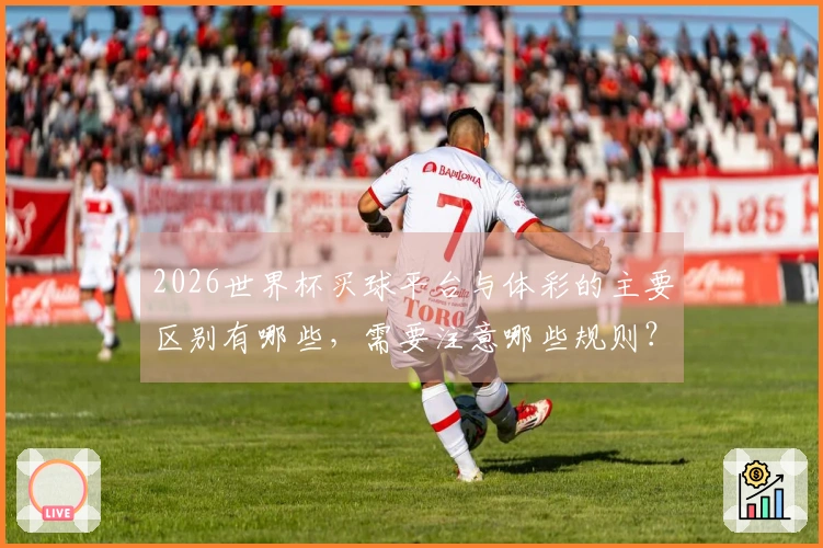 2026世界杯买球平台与体彩的主要区别有哪些，需要注意哪些规则？
