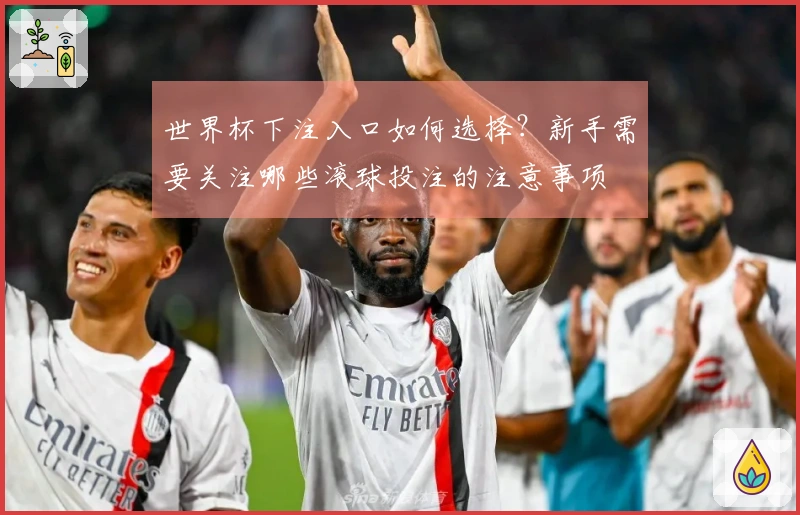 世界杯下注入口如何选择？新手需要关注哪些滚球投注的注意事项