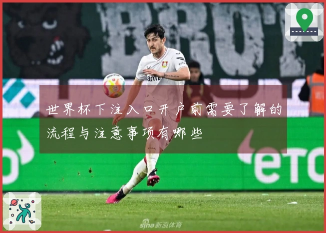 世界杯下注入口开户前需要了解的流程与注意事项有哪些