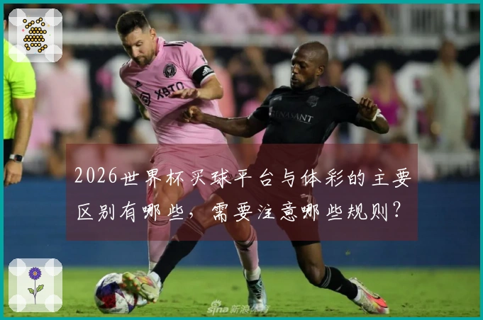2026世界杯买球平台与体彩的主要区别有哪些，需要注意哪些规则？