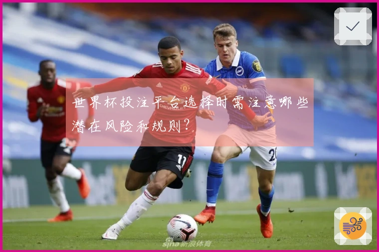 世界杯投注平台选择时需注意哪些潜在风险和规则？