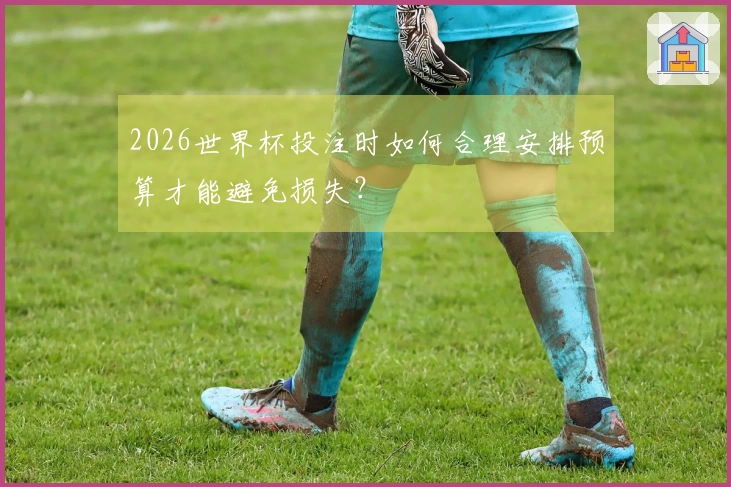 2026世界杯投注时如何合理安排预算才能避免损失？