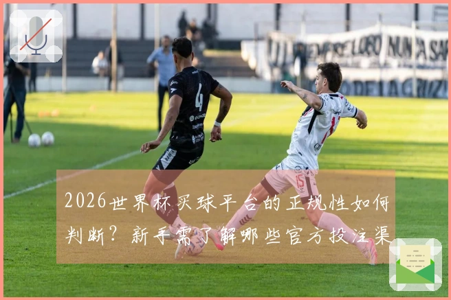 2026世界杯买球平台的正规性如何判断？新手需了解哪些官方投注渠道？